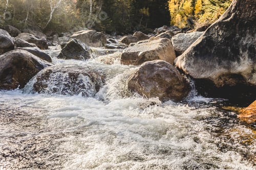 Preview: Rushing water flows over large rocks in a serene woodland river during a bright afternoon