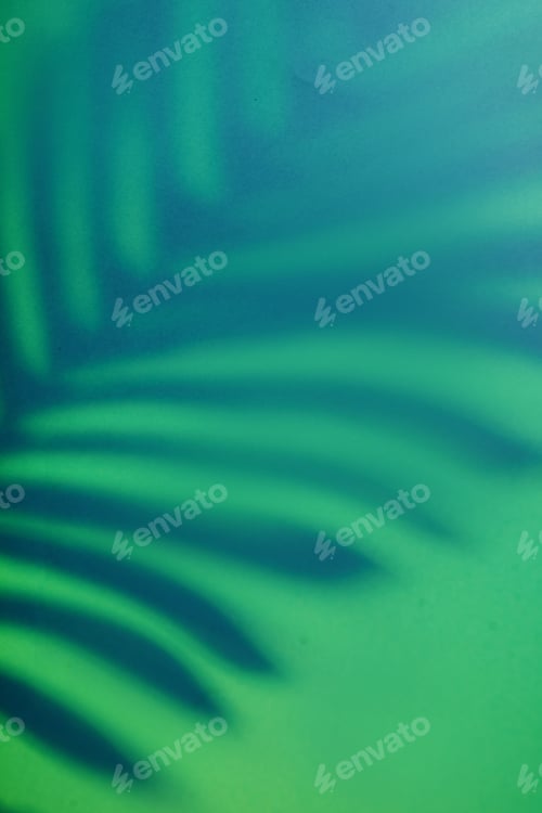Preview: Beautiful monstera leaves shadow colored background in artificial light