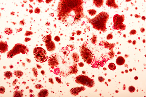 Preview: Studio shot of blood spots on light surface