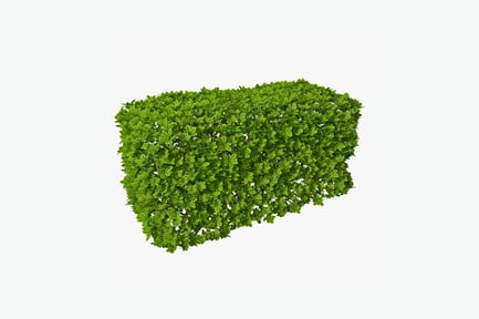 Preview: Square formation of green leaves