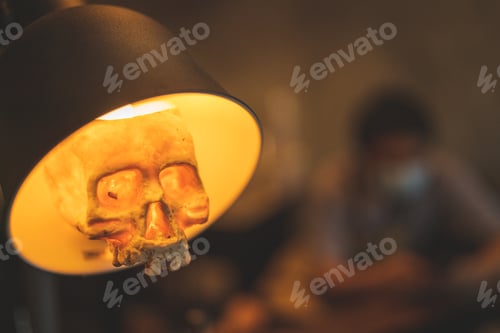 Preview: Halloween party concept decorate in cafe, decoration with human skull and pumpkin in holiday