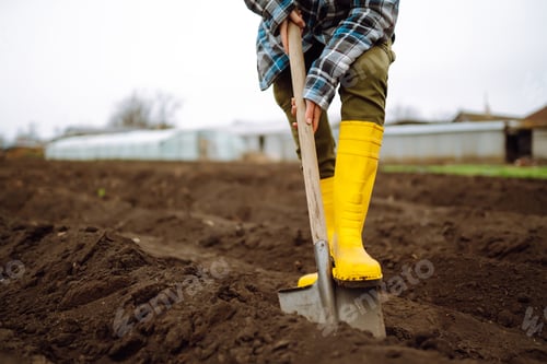 Preview: Female Worker digs soil with shovel in the vegetable garden. Agriculture and tough work concept