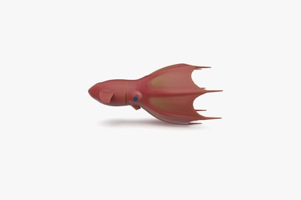 Preview: Deep Sea Vampire Squid Cephalopod