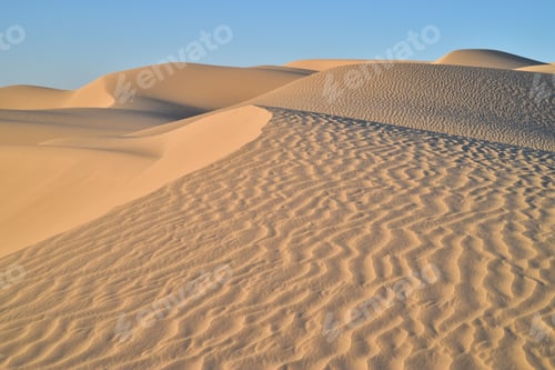 Preview: Golden morning light illuminates the sand dunes