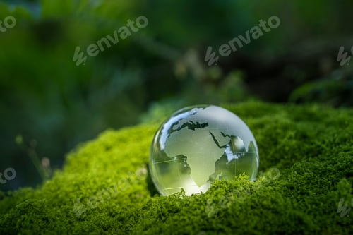 Preview: Crystal ball on moss in green forest - environment esg concept, ecology and sustainable environment