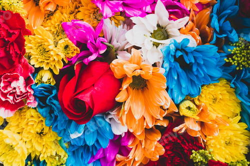 Preview: Bouquet of various flowers in the store, close-up