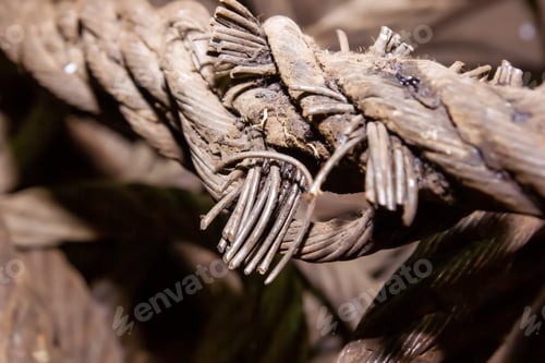 Preview: Closeup of an old rustic rope on a blurry background