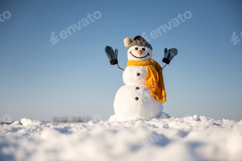 Preview: Snowman with hands up on snowy field