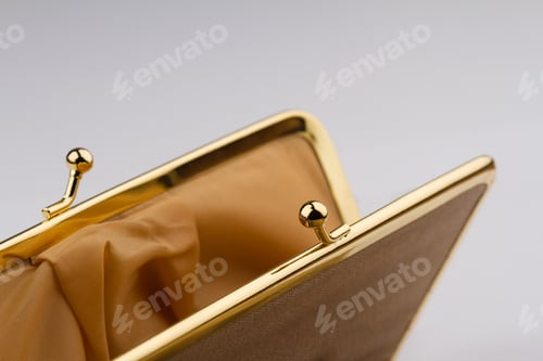 Preview: detail of female golden wallet