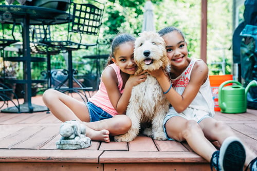 Preview: Mixed Race Sisters Play with Labradoodle Puppy on Porch