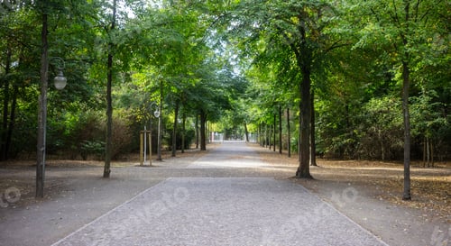 Preview: Tiergarten park in Berlin, Germany. Autumn with falling leaves and green trees background.