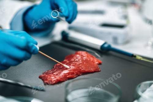 Preview: Food Quality Management - Red Meat