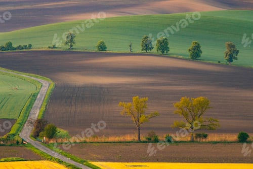 Preview: Gorgeous rural landscape with green sunny spring hills. South Moravia region, Czech Republic