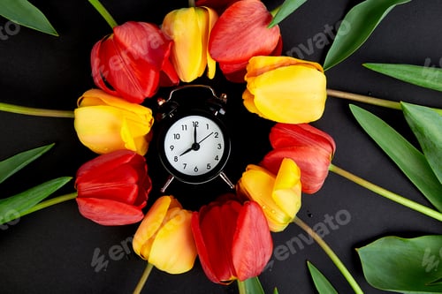 Preview: Tulips concept