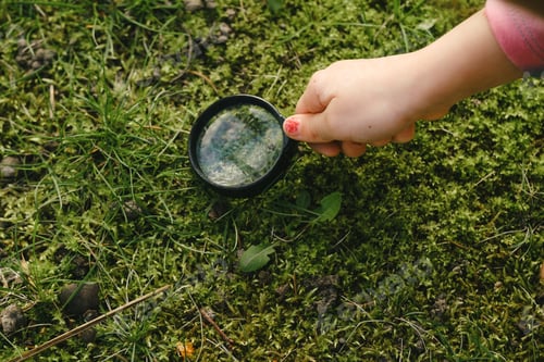 Preview: Exploring nature with magnifying glass