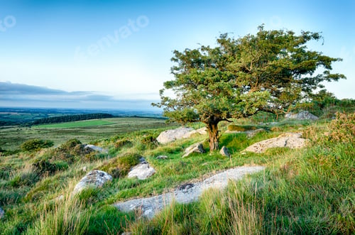 Preview: Kilmar Tor