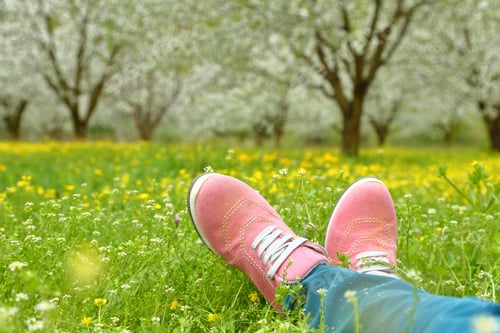 Preview: Feet in pink shoes on green field with flowers