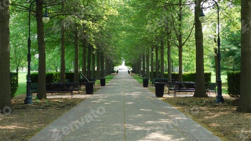 Preview: Scenic pathway lined with trees and benches in a park.
