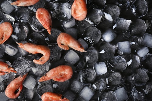 Preview: Flat lay composition with shrimps and ice cubes on dark background
