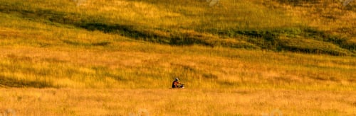 Preview: Man riding cross motorcycle dirt bike through Zlatibor grassy landscape on sunny summer day