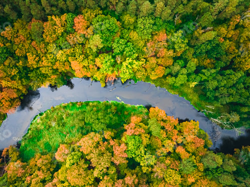 Preview: Top down view of river and colorful forest in autumn.