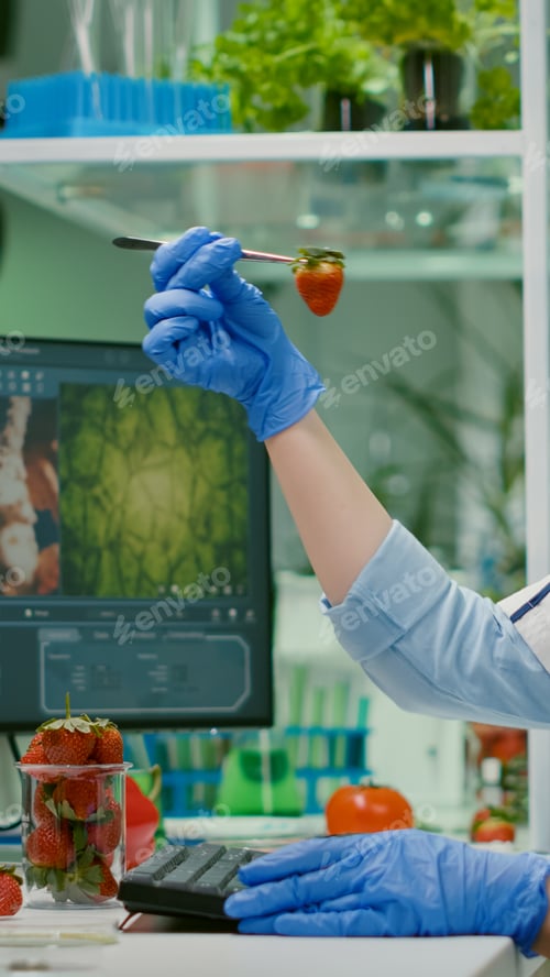 Preview: Scientist chemist checking strawberry using medical tweezers