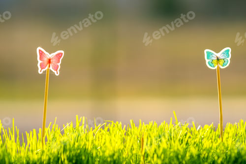 Preview: Close up of small green grass with special cute toys small butterflies. Concept of beautiful plants