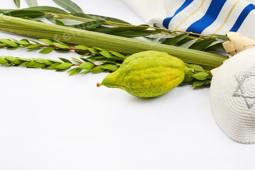 Preview: Sukkot Symbols. A composition featuring Sukkot items like an etrog, lulav, and traditional textiles