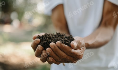 Preview: Oldman farmer holding soil in cupped hands
