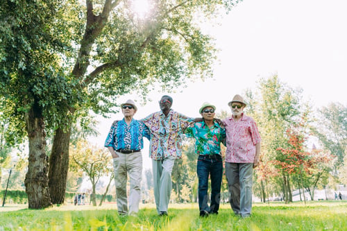 Preview: group of senior friends playing at the park