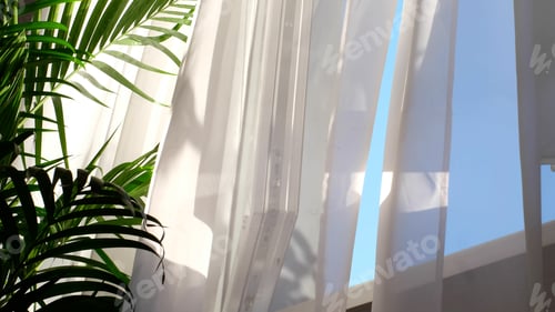 Preview: transparent curtain on the window, gently moved by the wind. sunlight. sun's rays shine through the