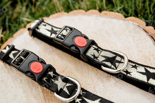 Preview: Stylish, bright and comfortable collar from pet shop for obedient dog, cat or other pets and domesti
