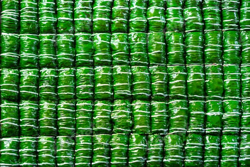 Preview: Green colored Turkish dessert baklava placed in rows