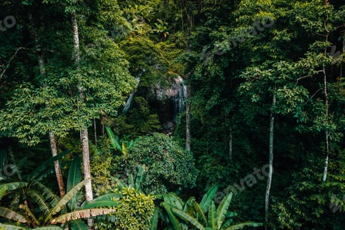 Preview: Aerial view of waterfalls and rainforests, forests and environmental conservation