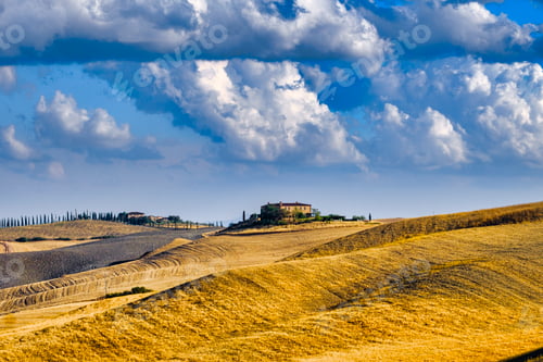 Preview: Summer landscape near Asciano