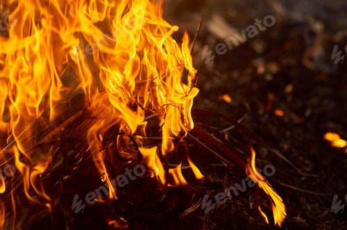 Preview: Flames of fire with smoke on a black background