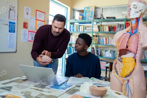 Preview: Teacher explaining human brain anatomy to student in classroom