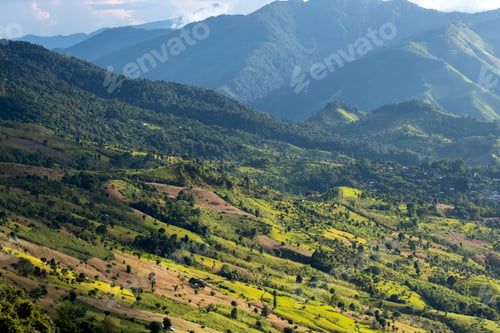 Preview: Aerial top view forest tree, Rainforest ecosystem and healthy environment concept and background