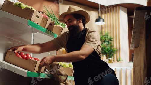 Preview: Farmer supplying bio shop with veggies