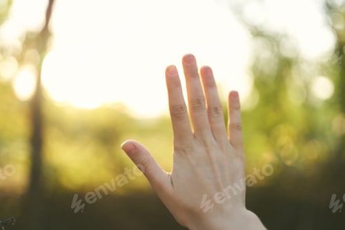 Preview: female hand nature sun summer green leaves