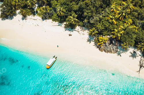 Preview: Aerial top down view of paradise beach with coconut trees and lonely tourist boat in turquoise