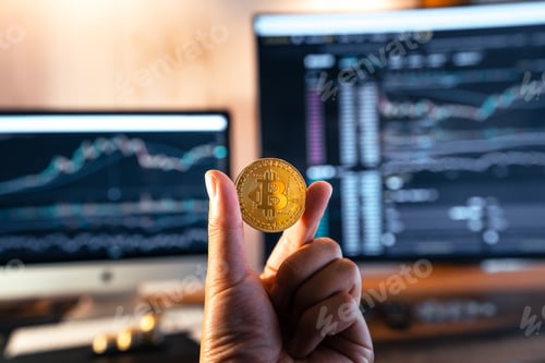 Preview: Bitcoin coins in hand in front of the computer