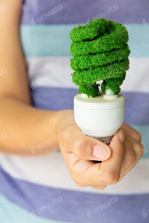 Preview: Hand holding eco light bulb
