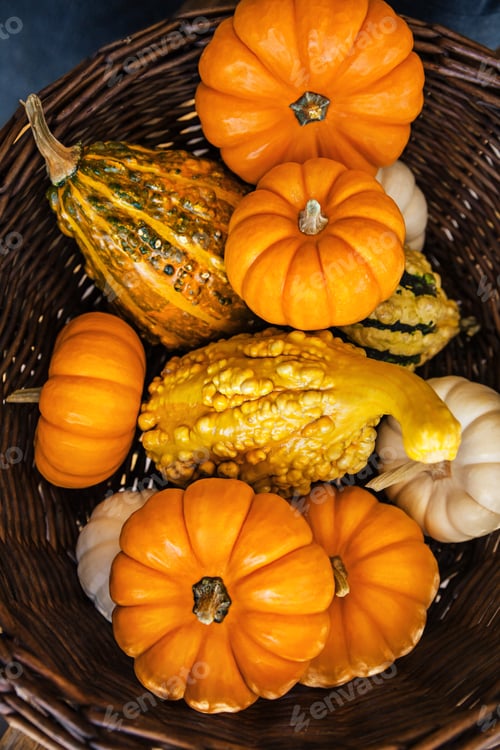 Preview: Harvest of pumpkins in straw basket, top view