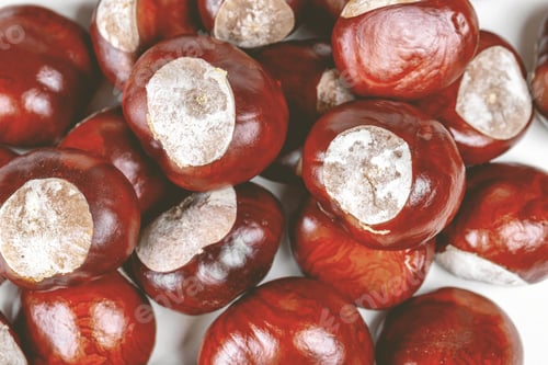 Preview: Fresh display of chestnuts on a table surface