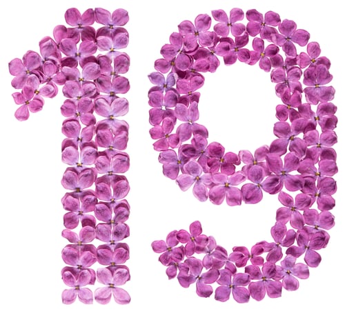 Preview: Arabic numeral 19, nineteen, from flowers of lilac, isolated on white background