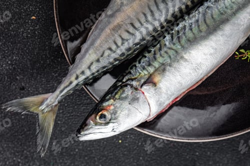 Preview: mackerel raw fresh fish seafood fresh meal food snack on the table copy space food background rustic