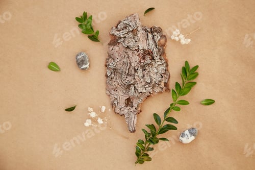 Preview: Natural tree bark, green leaves, pebbles. Sustainable, eco-friendly lifestyle background.