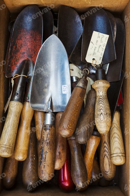 Preview: Overhead view of a collection of handheld garden forks, with metal tines and smooth wooden handles.