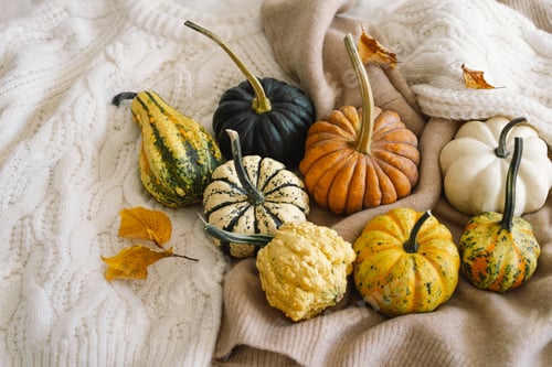 Preview: Multicolored pumpkins and dry autumn leaves on wooden background.